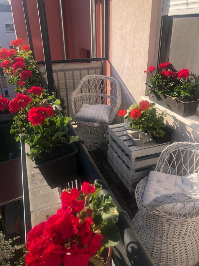 Barbara'S Apartment Budapeszt Zewnętrze zdjęcie